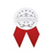 Сертификат серебряной фольги красной ленты форменный герметизирует тип бренда кукушки горячий штемпелюя